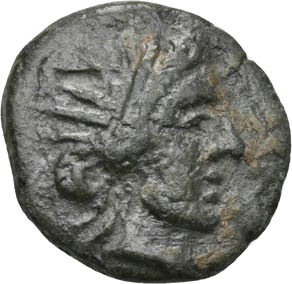 Image of the obverse