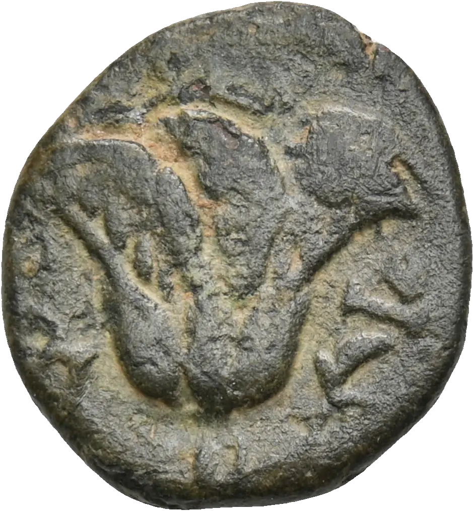 Image of the obverse